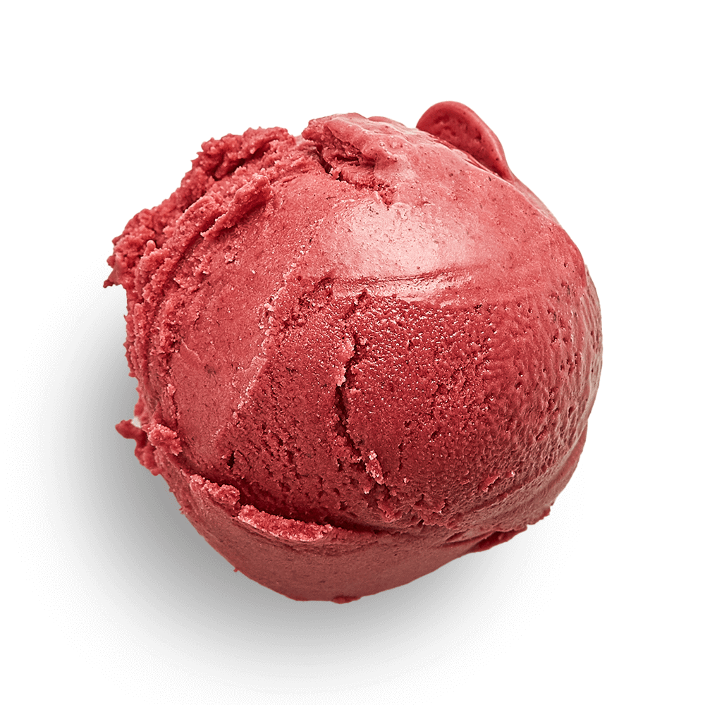 Alternative view of Marionberry Coconut Sherbet (v)
